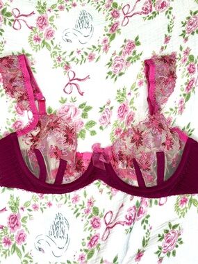 LOVE & LEMONS NWOT Berry Pink Lace Sheer Bra Coquette Romantic Embroidered XS